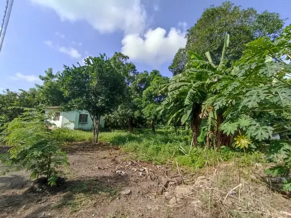 Terreno en venta en El Rincón, Jamapa — foto 3 de 6