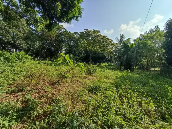 Terreno en venta en El Rincón, Jamapa — foto 2 de 6