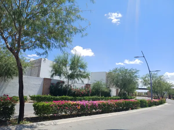 Terreno en venta en Las Trojes, Torreón — foto 3 de 6