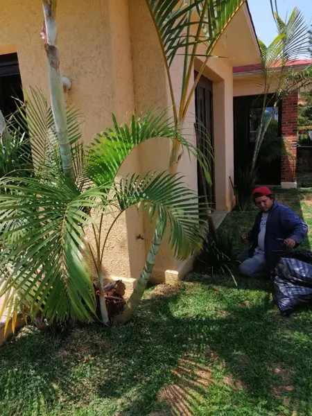 Casa en venta en Vista Hermosa, Cuernavaca — foto 3 de 12
