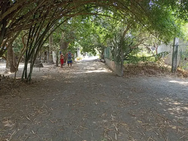 Playa de Vacas,  Terreno en venta