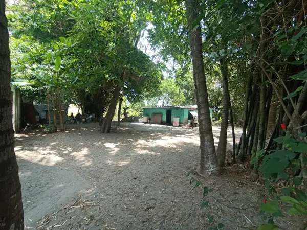 Terreno en venta en Las Palmas, Medellín de Bravo — foto 3 de 4