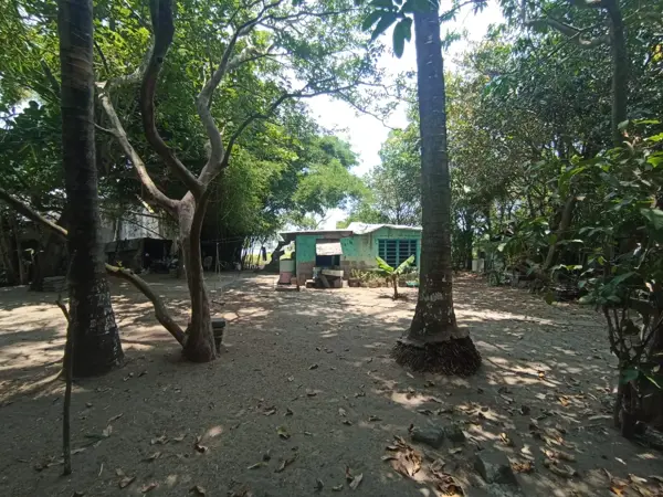 Terreno en venta en Las Palmas, Medellín de Bravo — foto 2 de 4