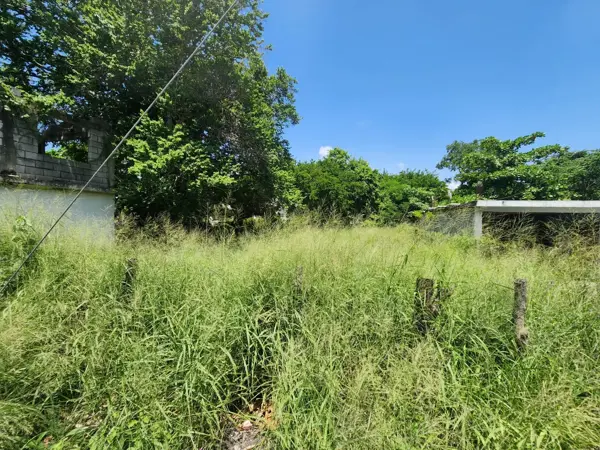Terreno en venta en Las Americas, Ébano — foto 2 de 2