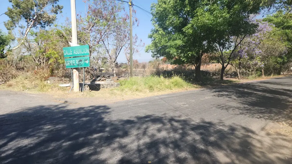 Terreno en venta en La Joya (Agropecuaria Tenextepec), Atlixco — foto 1 de 7