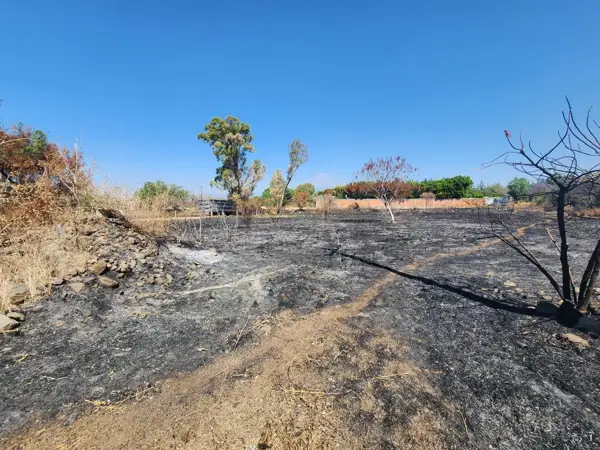 Terreno en venta en La Joya (Agropecuaria Tenextepec), Atlixco — foto 3 de 7