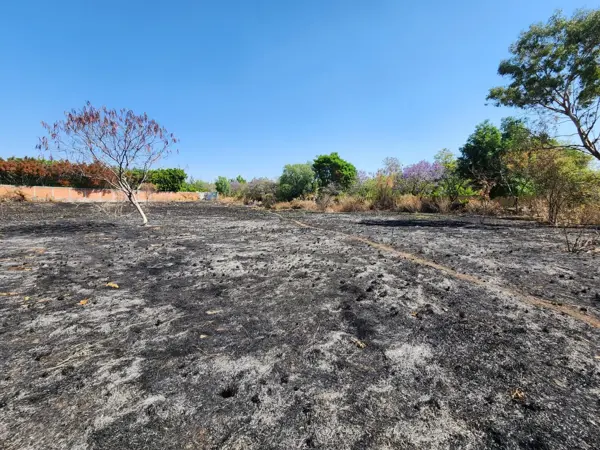 Terreno en venta en La Joya (Agropecuaria Tenextepec), Atlixco — foto 2 de 7