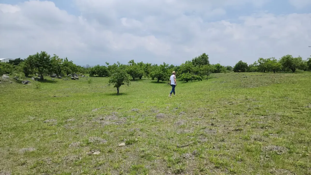 Terreno en venta en Axocopan, Atlixco — foto 1 de 5