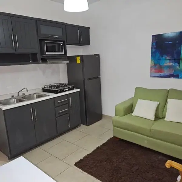 LOFT AMUEBLADO EN LOMAS DEL PEDREGAL
