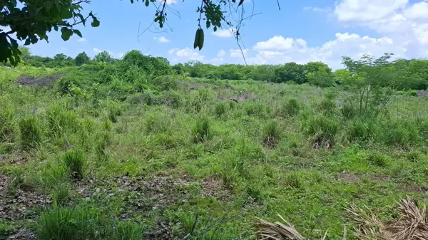 Terreno en venta en Laguna del Toro, Jamapa — foto 3 de 4