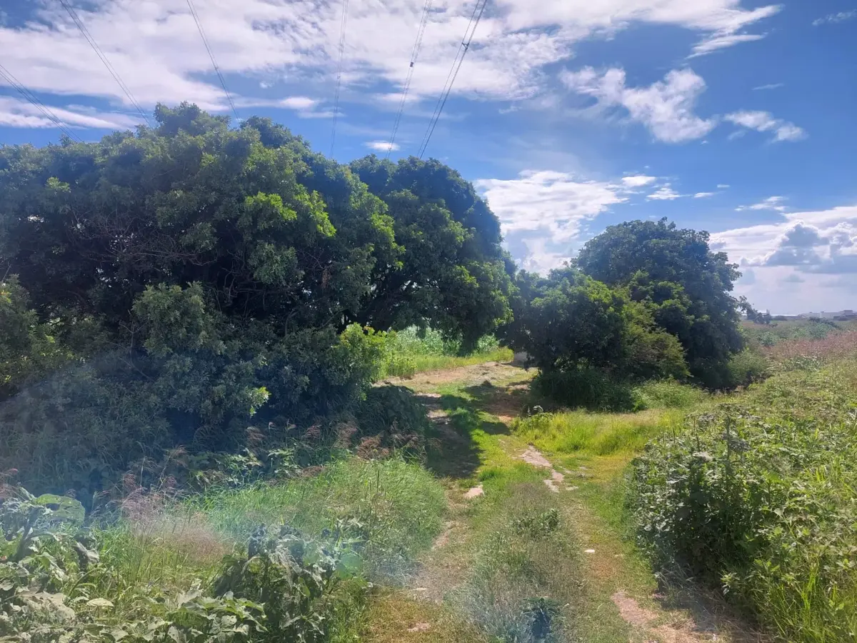 Terreno en venta en Purísima de Cubos (La Purísima), Colón — foto 1 de 7