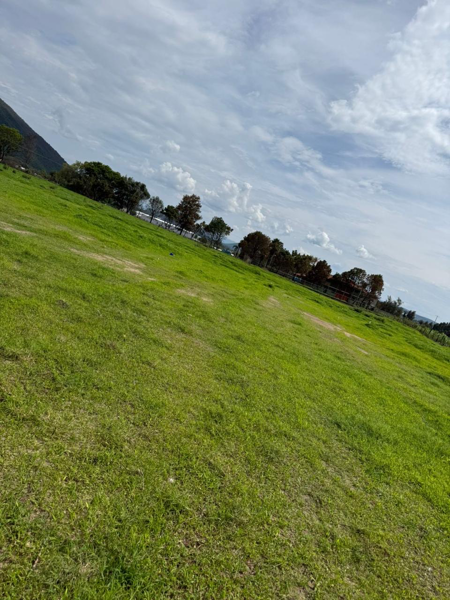Terreno en venta en Mazatepec, Tala — foto 2 de 5