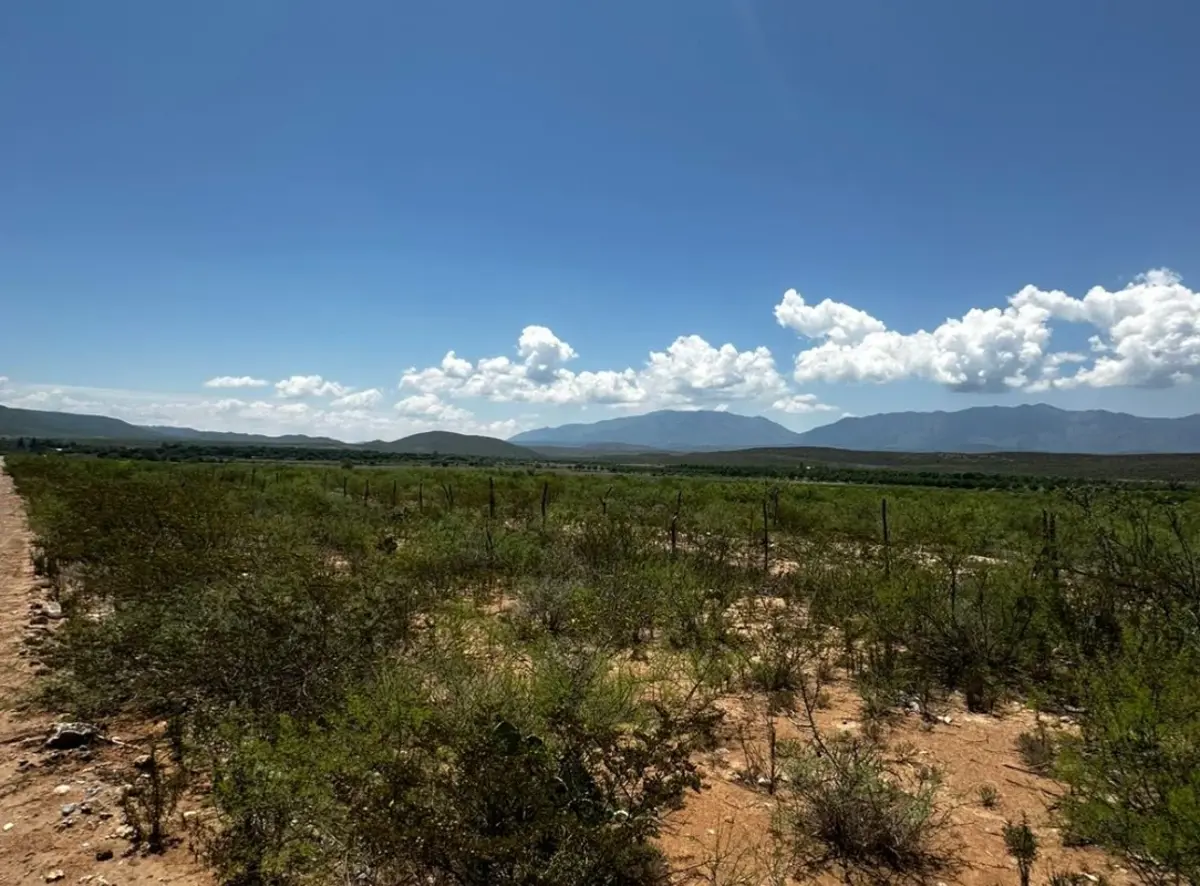 Terreno en venta en General Cepeda, General Cepeda — foto 1 de 5