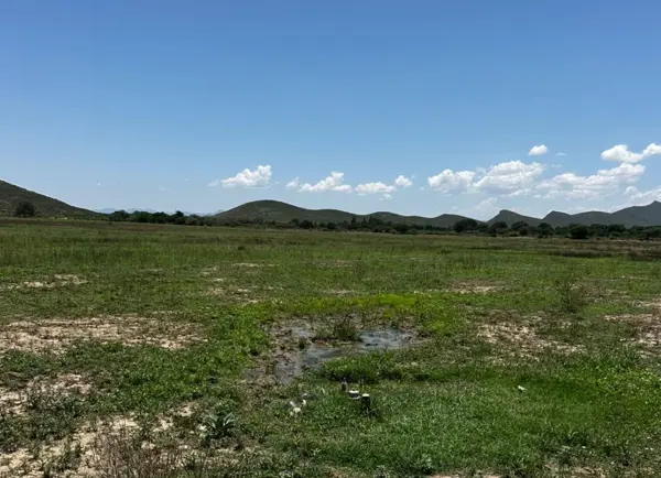 Terreno en venta en General Cepeda, General Cepeda — foto 2 de 5