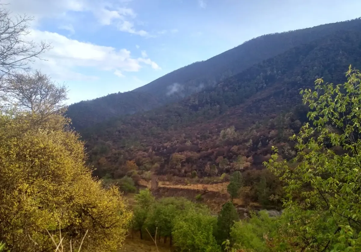 Terreno en venta en Rancho Nuevo, Arteaga — foto 1 de 3