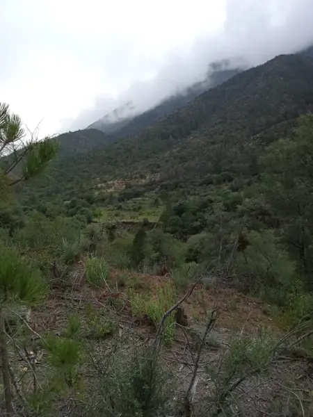 Terreno en venta en Rancho Nuevo, Arteaga — foto 3 de 3