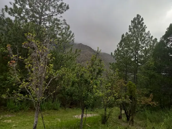 Terreno en venta en Rancho Nuevo, Arteaga — foto 2 de 3