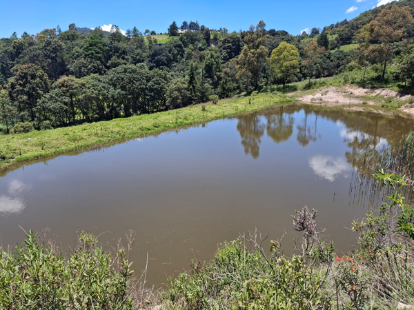 Finca-Rancho en venta en Chitejé de la Cruz, Amealco de Bonfil — foto 2 de 18