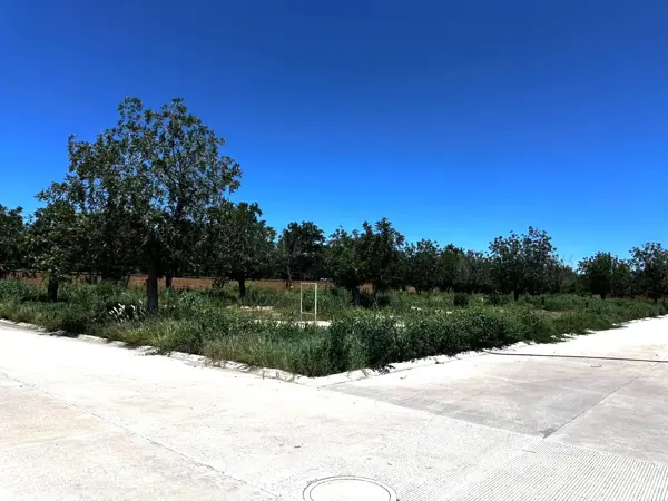 Terreno en venta en La Barranca, Torreón, Coahuila de Zaragoza