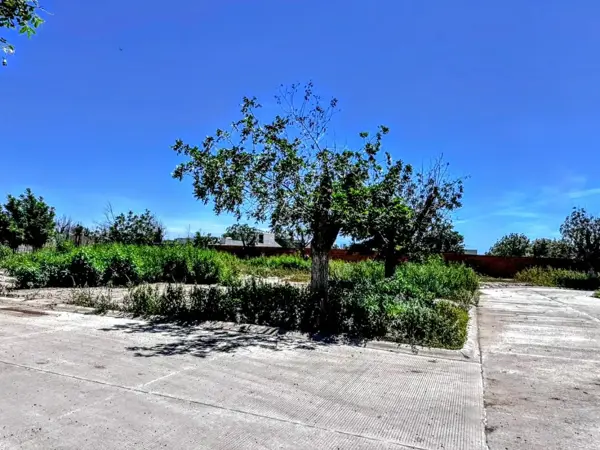 Terreno en venta en La Barranca, Torreón — foto 3 de 5