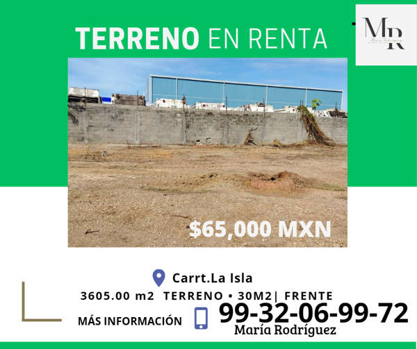Terreno en renta en Miguel Hidalgo, Centro — foto 2 de 4