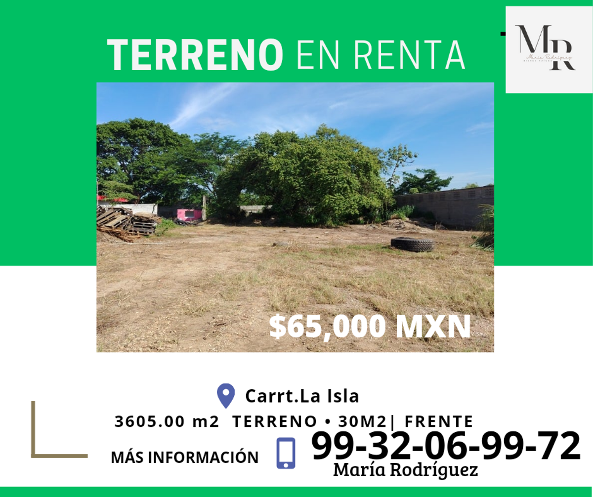 Terreno en renta en Miguel Hidalgo, Centro — foto 1 de 4