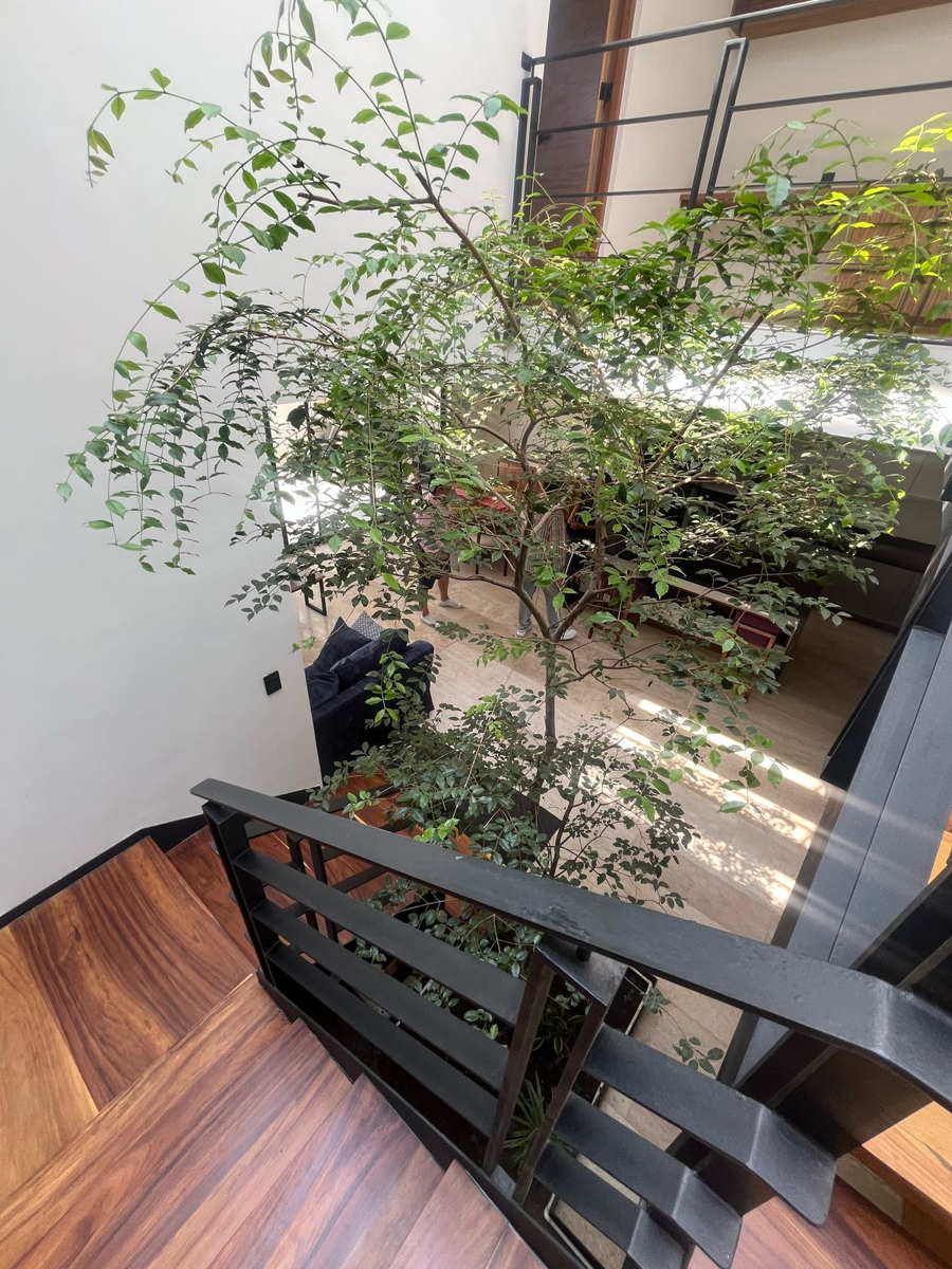 Casa en venta en Buenavista, Cuernavaca — foto 1 de 16