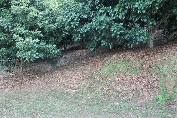 Finca-Rancho en venta en Ciudad de Cuetzalan, Cuetzalán del Progreso — foto 2 de 21