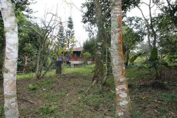 Finca-Rancho en venta en Ciudad de Cuetzalan, Cuetzalán del Progreso — foto 3 de 21