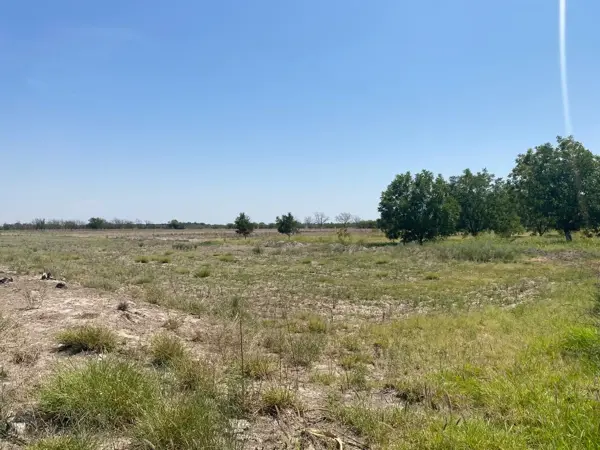 Terreno en venta en San Antonio del Coyote, Matamoros — foto 3 de 6