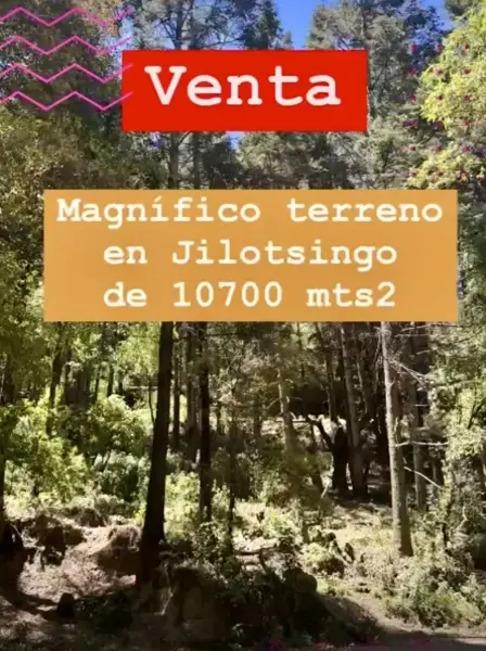 Terreno en venta en San José de las Manzanas, Jilotzingo — foto 2 de 7
