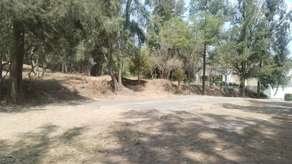 Terreno en venta en Ixtapan de la Sal, Ixtapan de la Sal — foto 3 de 9