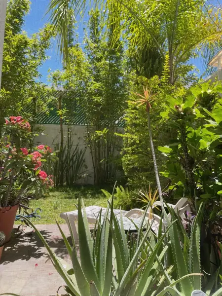 Casa en renta en Catara Residencial, Villa de Pozos — foto 3 de 8