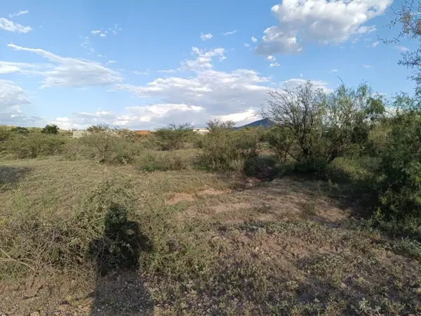 Terreno Frente a Presa Chihuahua Ejido el Fresno