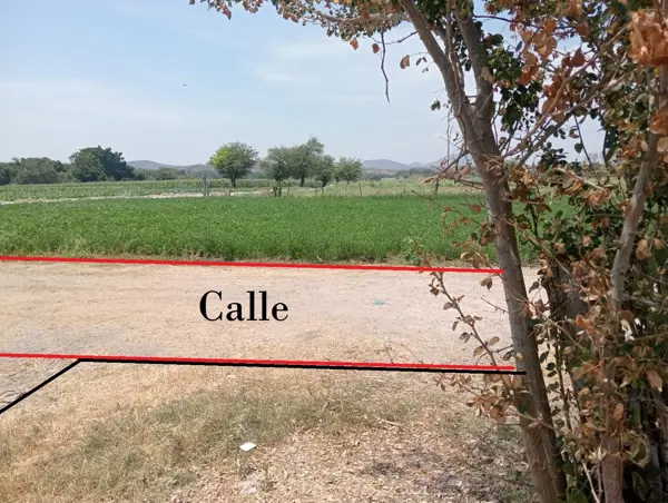 Terreno en venta en 20 de Noviembre, Zacatepec — foto 3 de 5