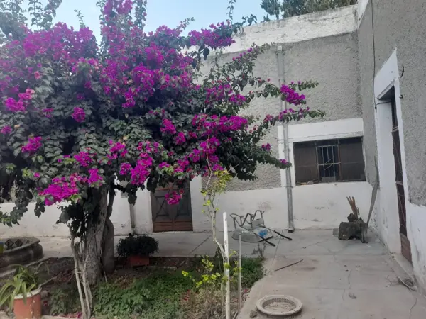 Casa en renta en Parras de la Fuente Centro, Parras — foto 2 de 5