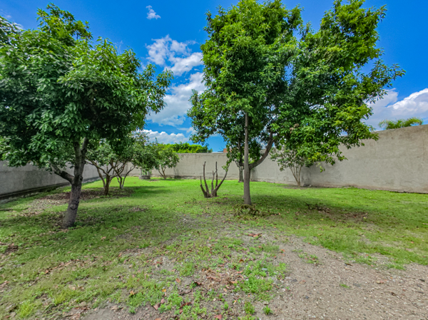 Terreno en venta en Ricardo Flores Magon, Atlixco — foto 2 de 11