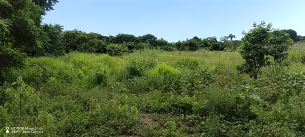 Terreno en venta en El Rancho Del Padre, Medellín de Bravo — foto 2 de 10