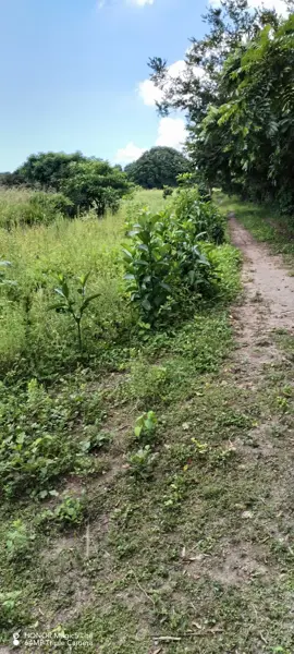 Terreno en venta en El Rancho Del Padre, Medellín de Bravo — foto 3 de 10
