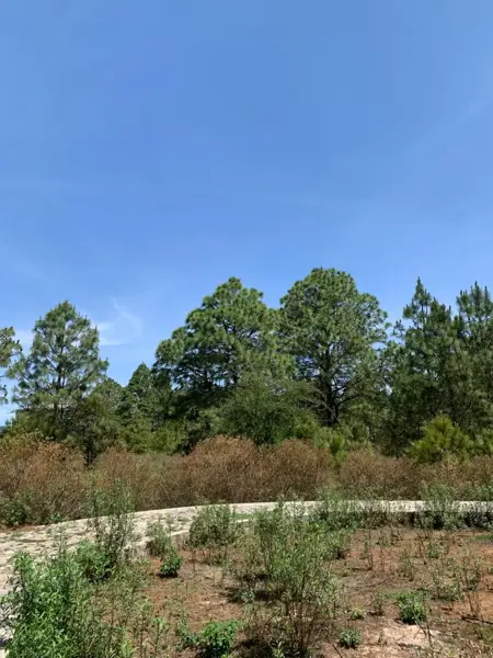 Terreno en venta en Tapalpa, Tapalpa — foto 3 de 7