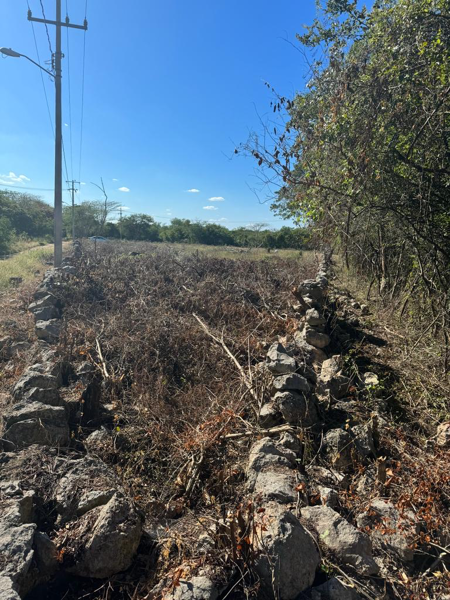 Terreno en Venta para Desarrollo Residencial en Mérida