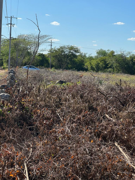 Terreno en venta en San Isidro, Mérida — foto 2 de 15