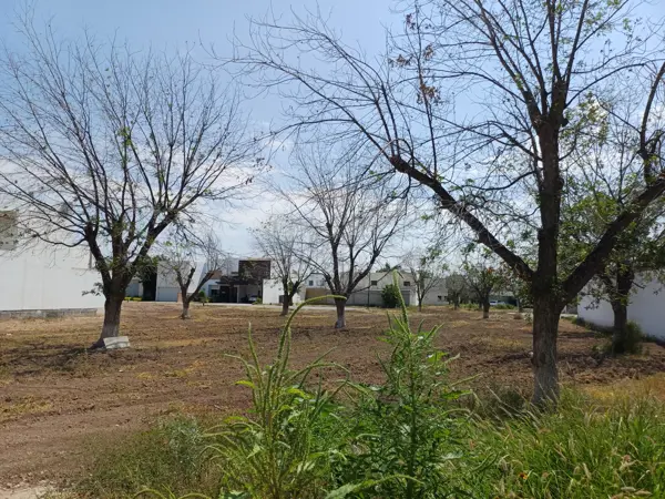 Terreno en venta en Las Trojes, Torreón — foto 3 de 4