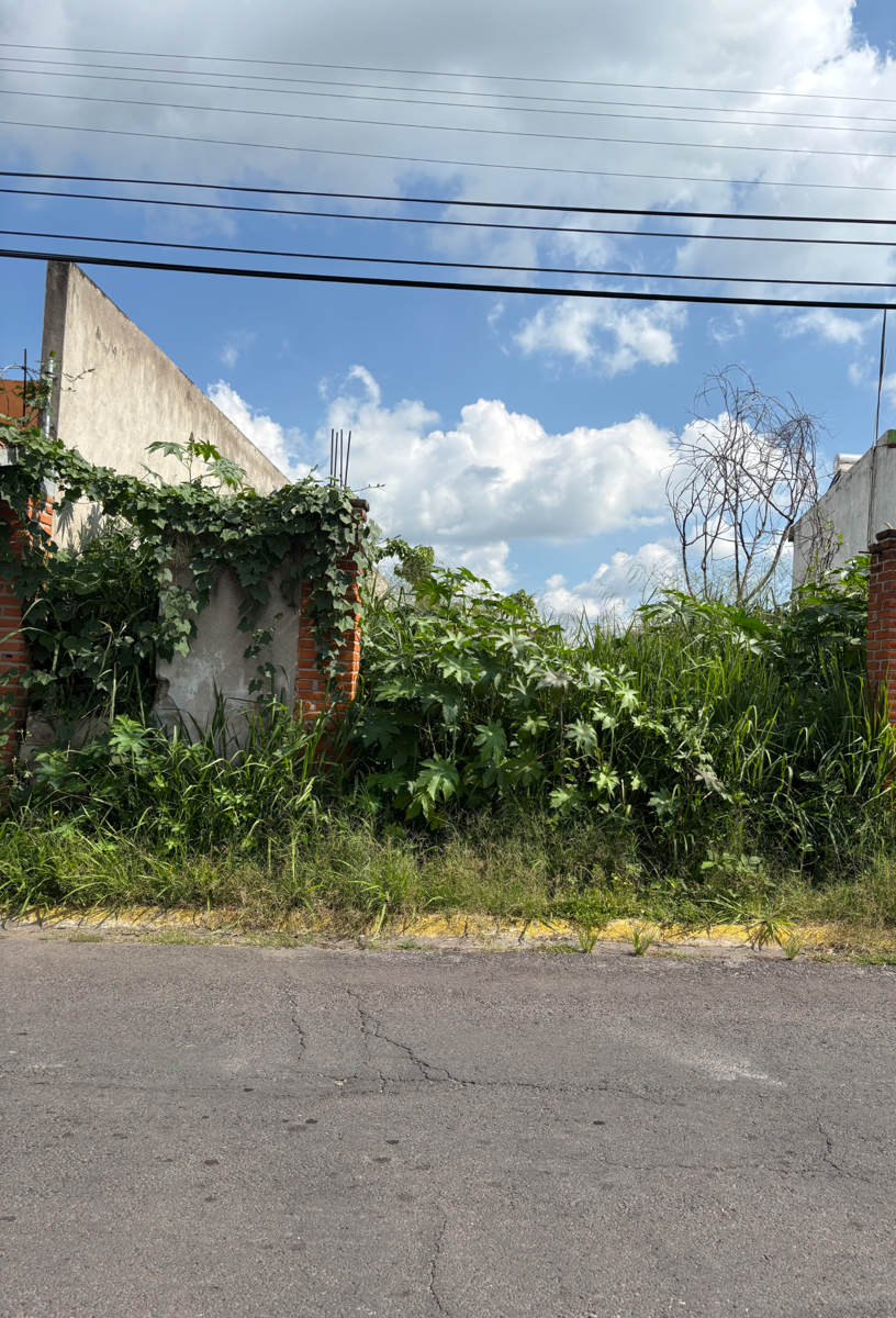 Terreno en venta en Pedregal de Oaxtepec, Yautepec — foto 1 de 3