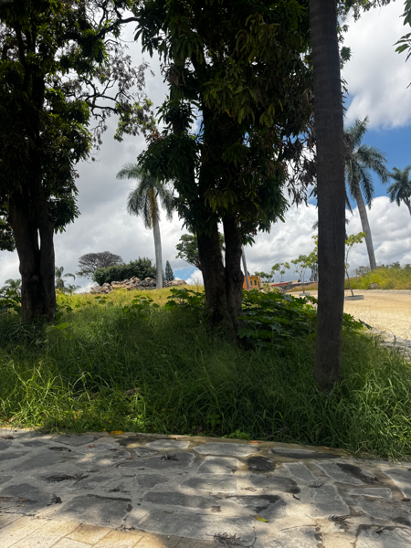 Terreno en venta en Chapultepec, Cuernavaca — foto 3 de 8