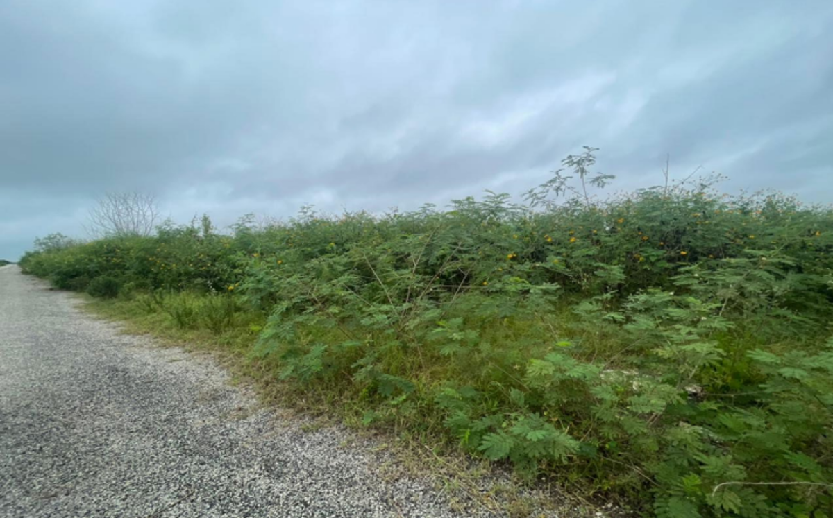 Terreno en venta en Conkal, Conkal — foto 1 de 2