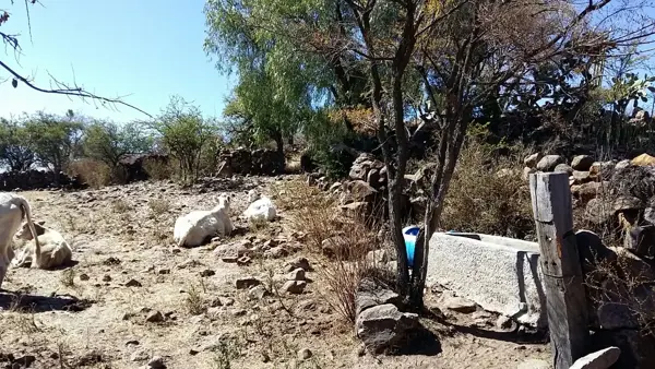 Terreno en venta en Jerecuaro Centro, Jerécuaro — foto 2 de 10