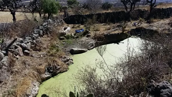 Terreno en venta en Jerecuaro Centro, Jerécuaro — foto 3 de 10