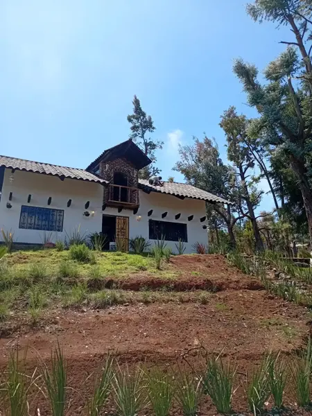 Casa en venta en San Pedro Tlachichilco, Acaxochitlán — foto 3 de 13