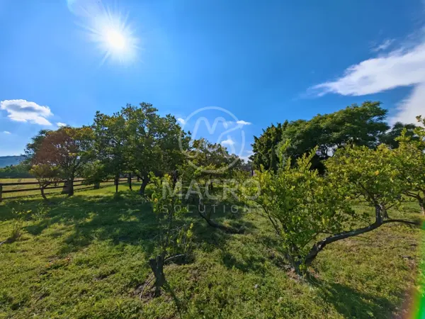 Terreno en venta en Isla de Cuautla, Ayala — foto 2 de 21